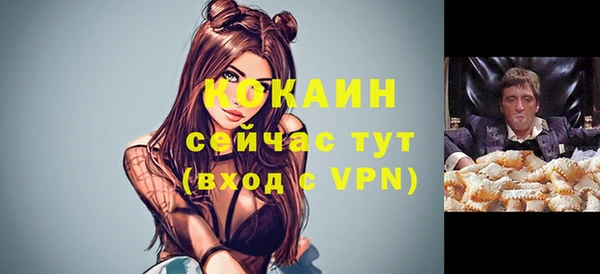 гидра Медвежьегорск