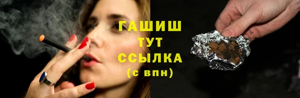 гидра Медвежьегорск