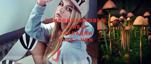 дживик Медногорск